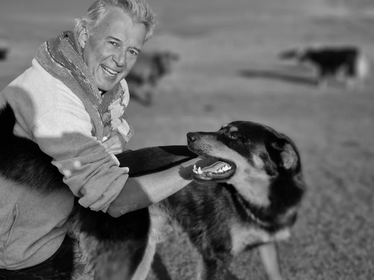 A quiet encounter with a dog while travelling.