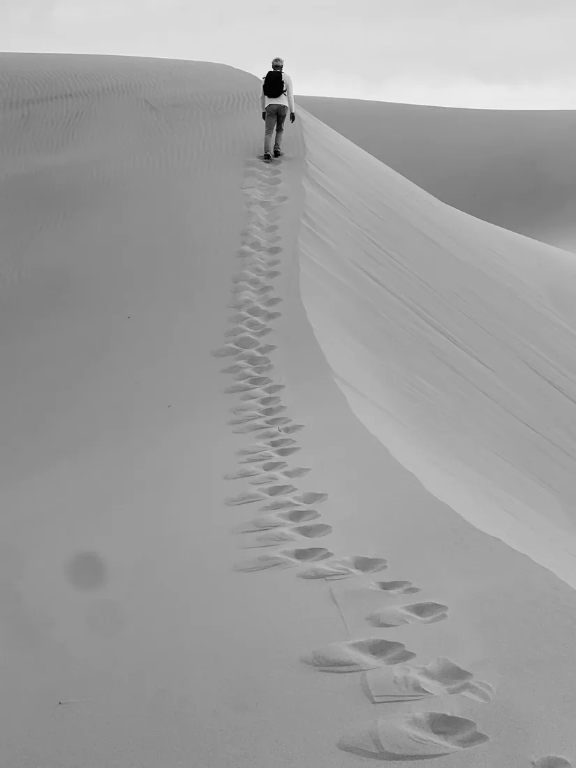 A figure following tracks across a dune.